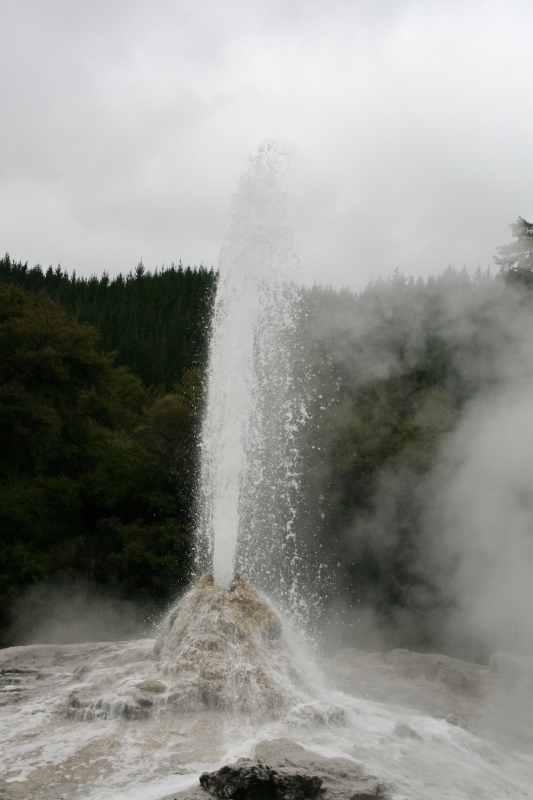 Nieuw-Zeeland 2011 - 0671